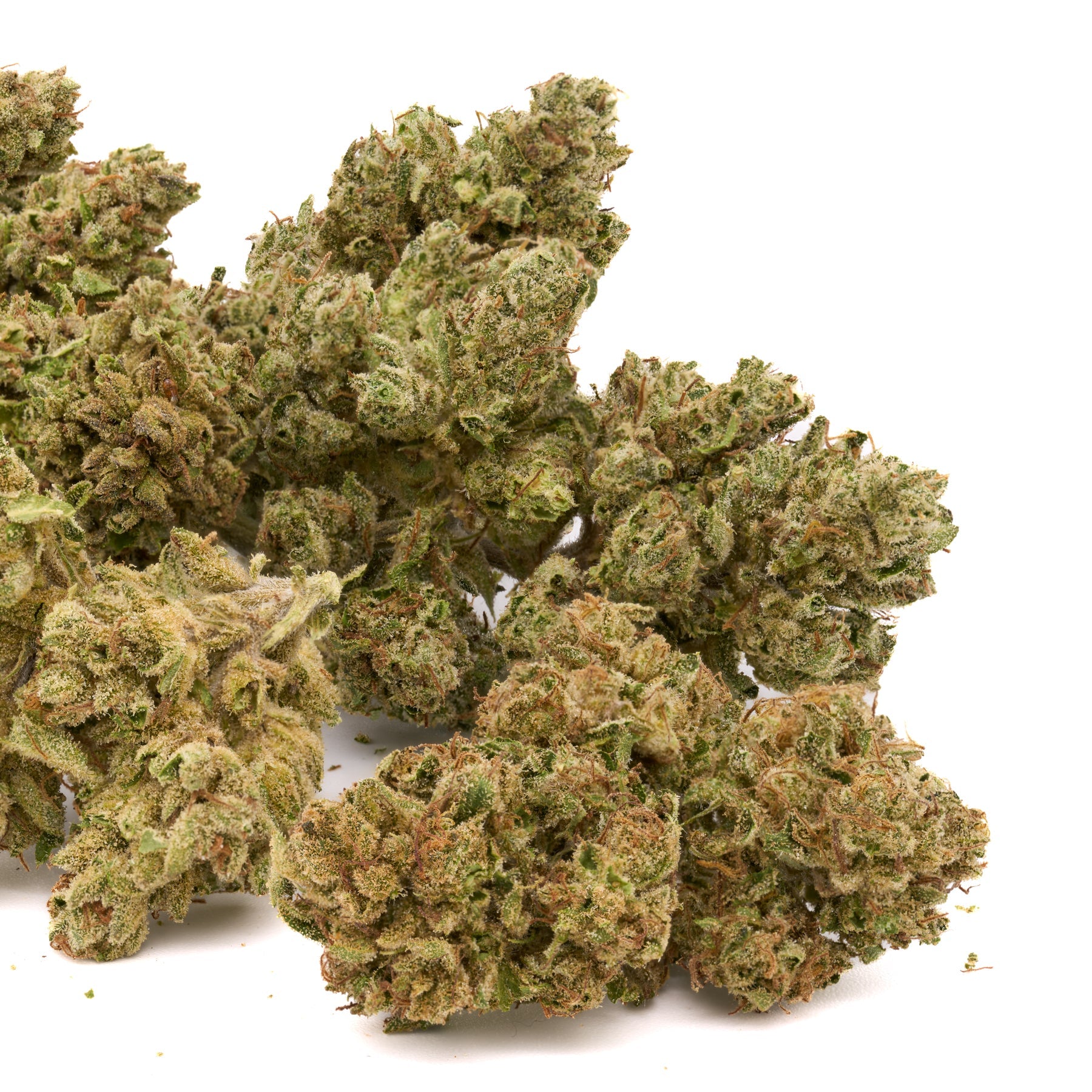 Guava THCa Hemp Flower - Plants