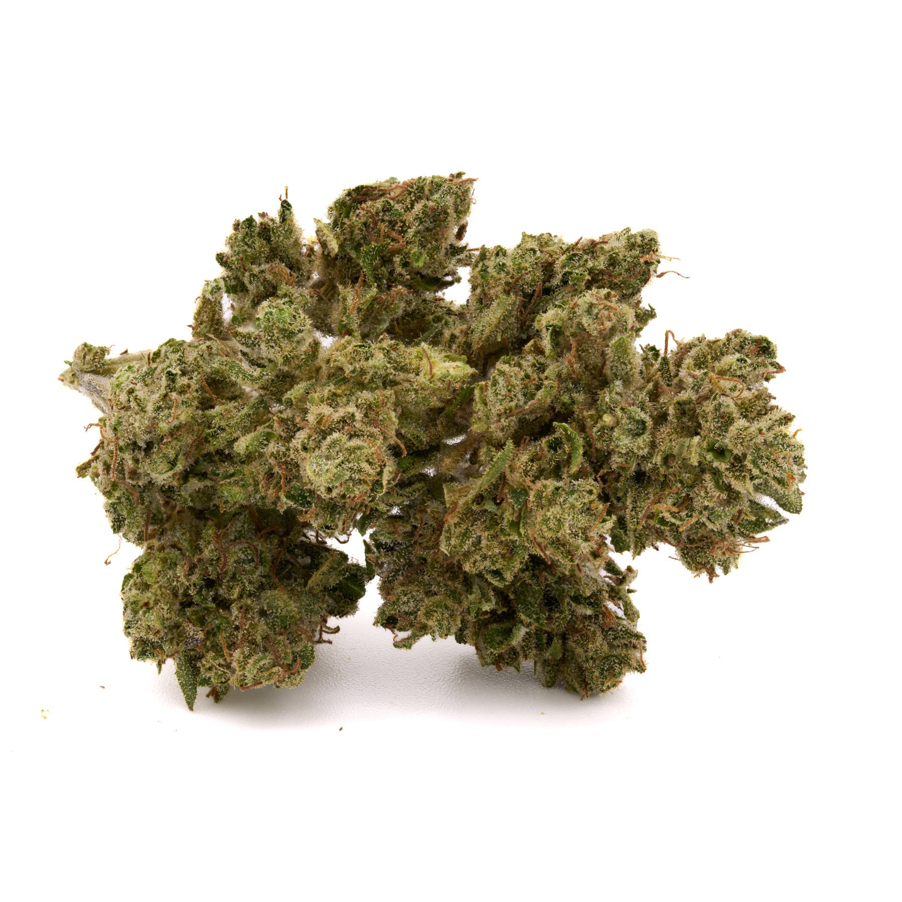 Guava THCa Hemp Flower Wholesale - Plants