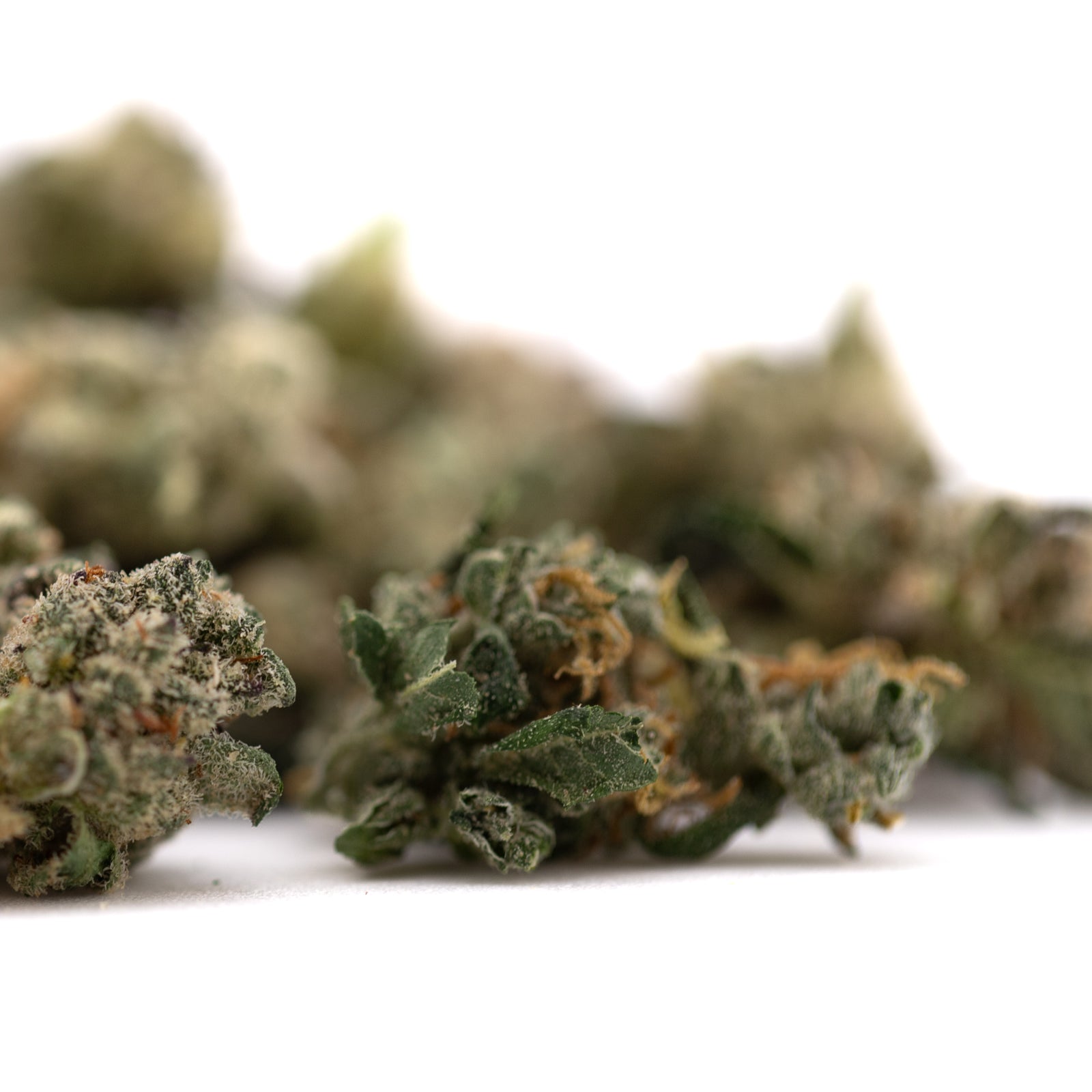 Dried Guava Z Indoor THCA Flower Smalls with trichomes and orange pistils for premium terpene profiles