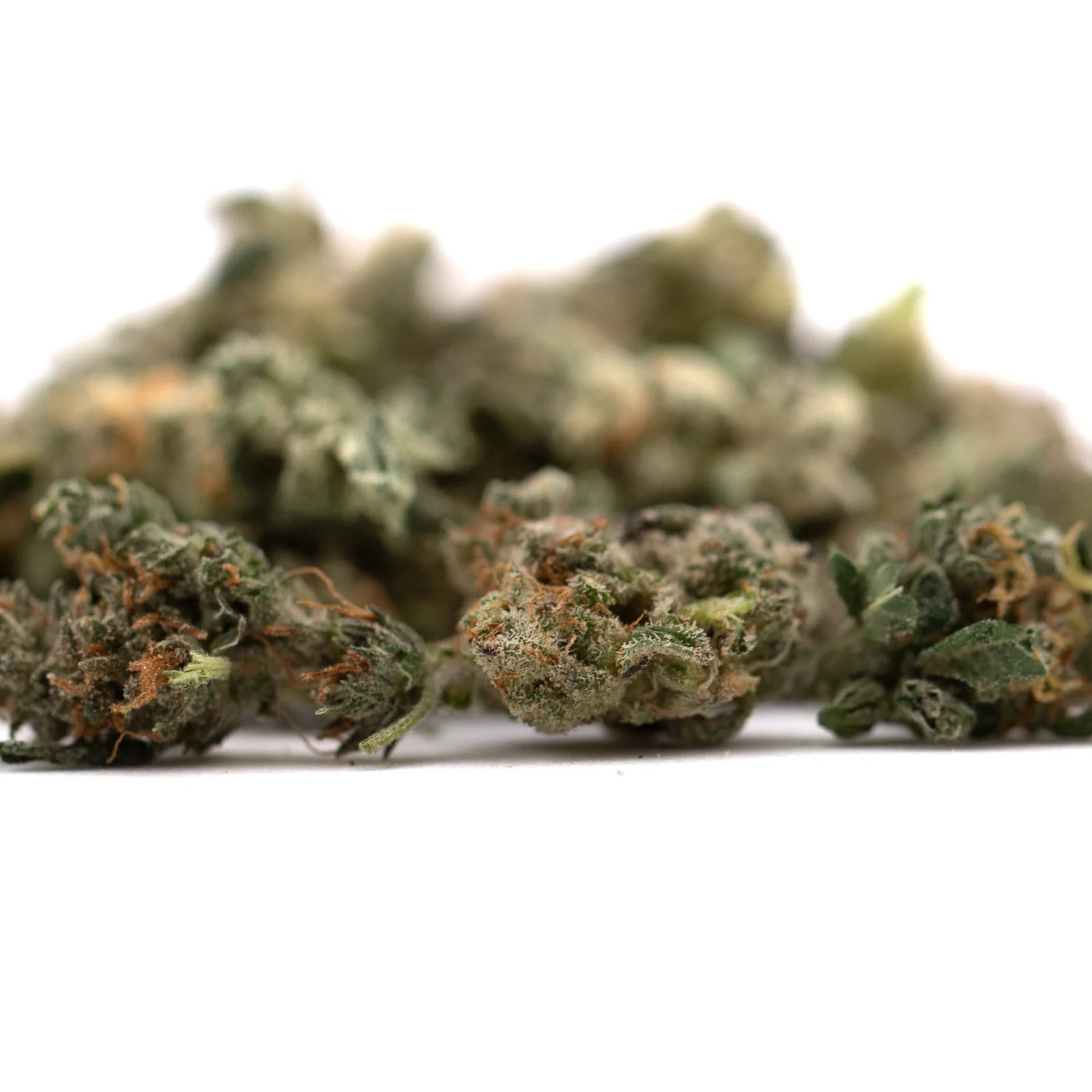 Dried cannabis buds from Guava Z Indoor with high THCa content and rich terpene profiles