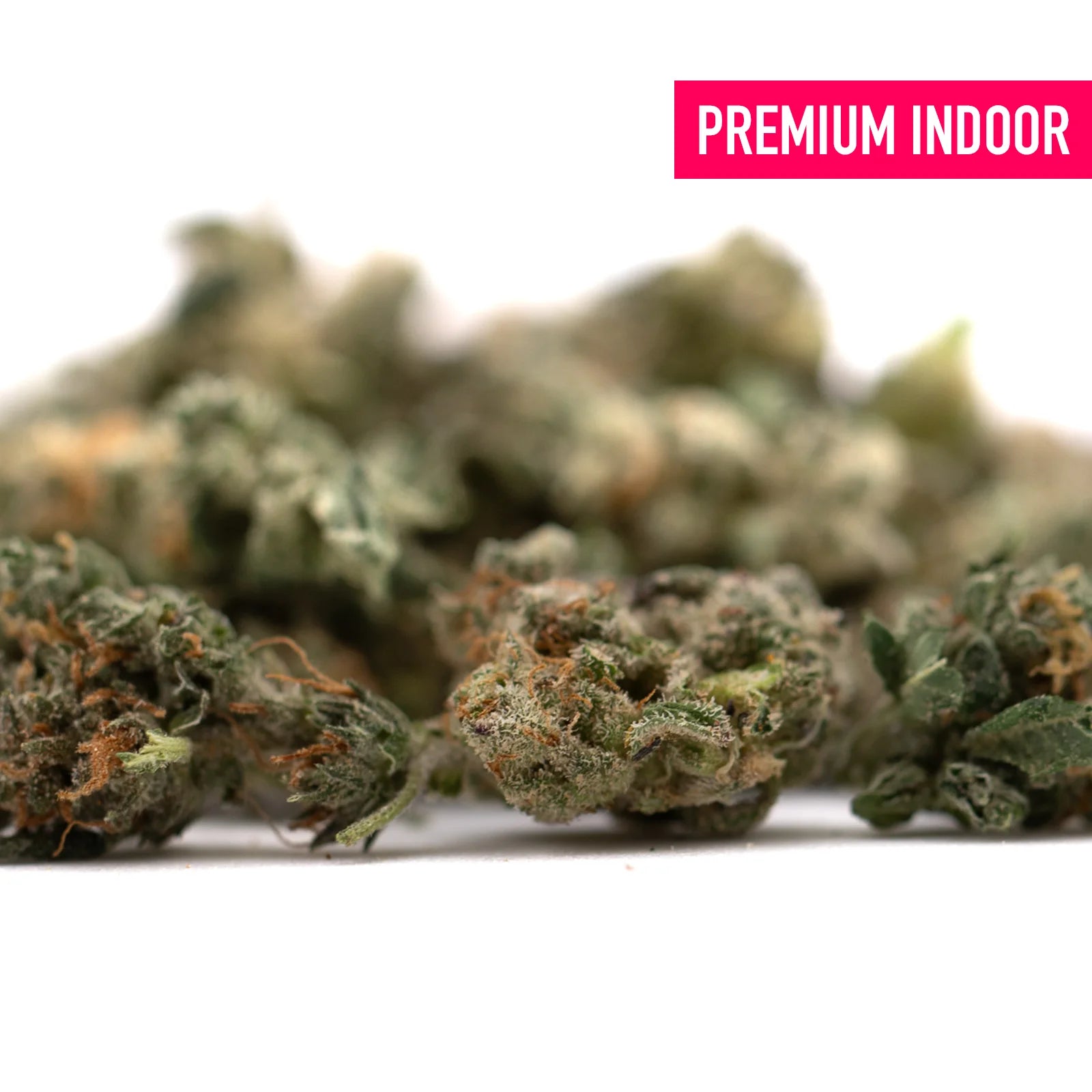 Guava Z Indoor THCa Flower Smalls with green buds and orange hairs, rich terpene profiles