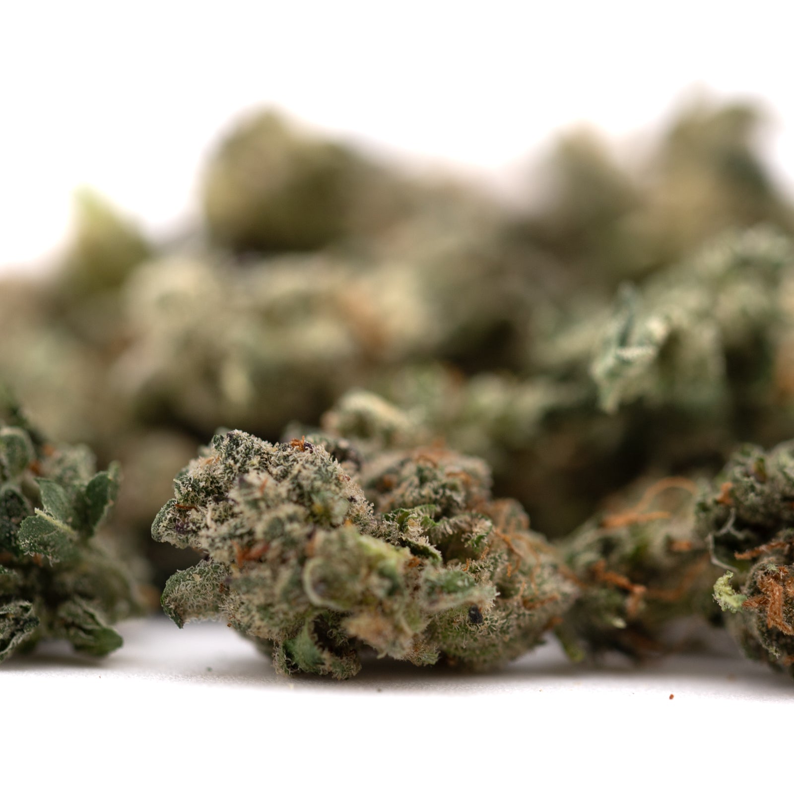 Pile of premium Guava Z Indoor THCa Flower Smalls with rich terpene profiles