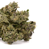 Gush Mintz THCa Hemp Flower Greenhouse - Plants