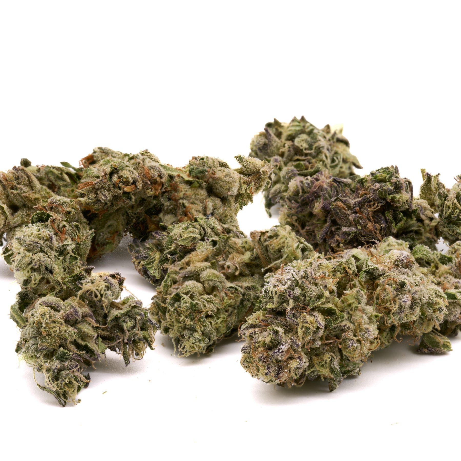 Gush Mintz THCa Hemp Flower Greenhouse - Plants