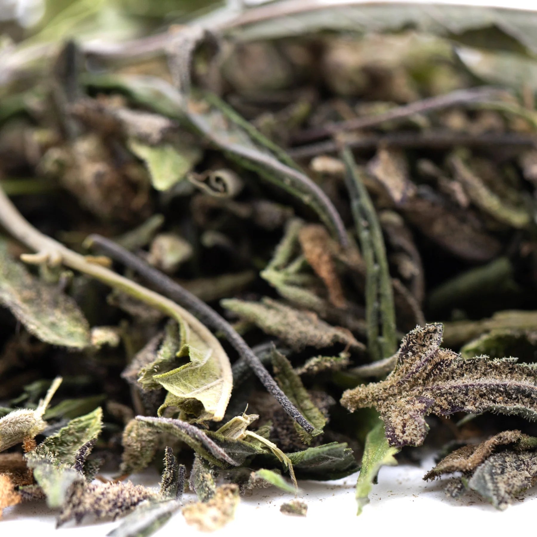 Dried green tea leaves with light and dark hues and delicate stems in halle berry greenhouse thca trim wholesale hemp flower