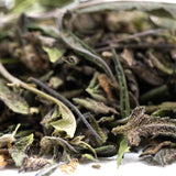 Dried green tea leaves with light and dark hues and delicate stems in halle berry greenhouse thca trim wholesale hemp flower