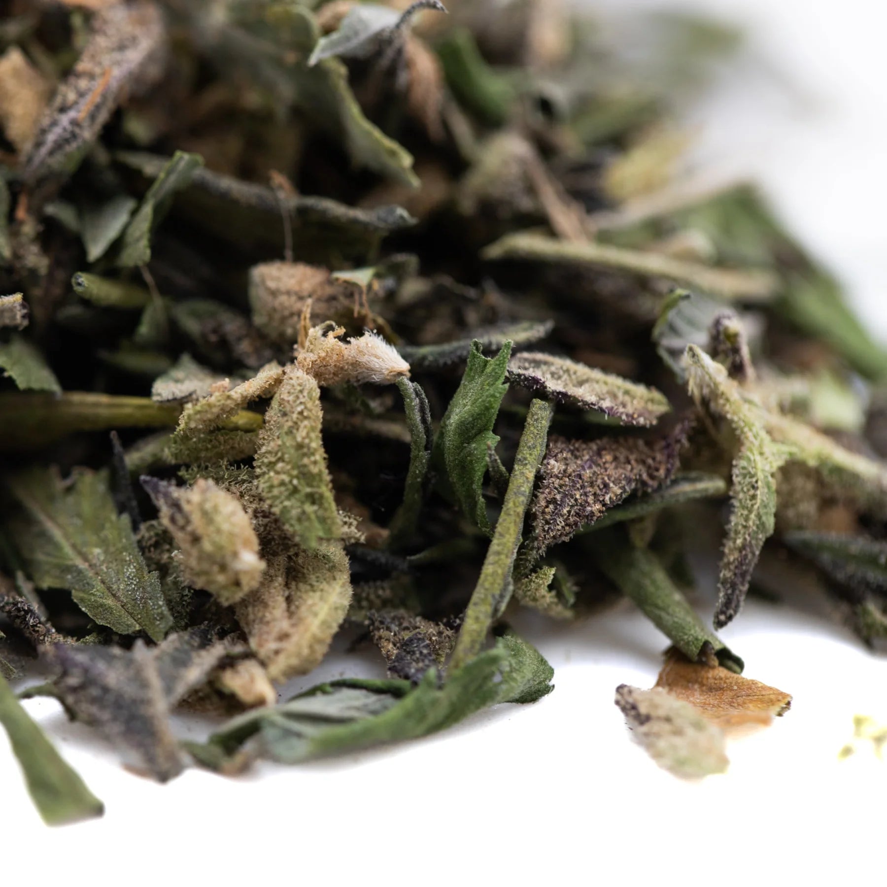 Dried sage leaves in halle berry greenhouse thca trim wholesale with green brown and gray hues for hemp flower use