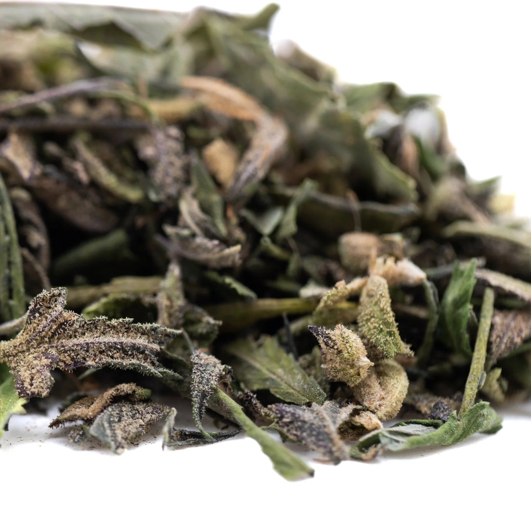 Dried sage leaves in green and brown hues with textured surfaces and stems in halle berry greenhouse thca trim wholesale