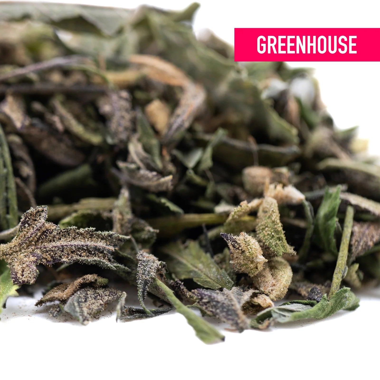 Dried sage leaves in green and brown fuzzy textures featured in halle berry greenhouse thca trim wholesale product