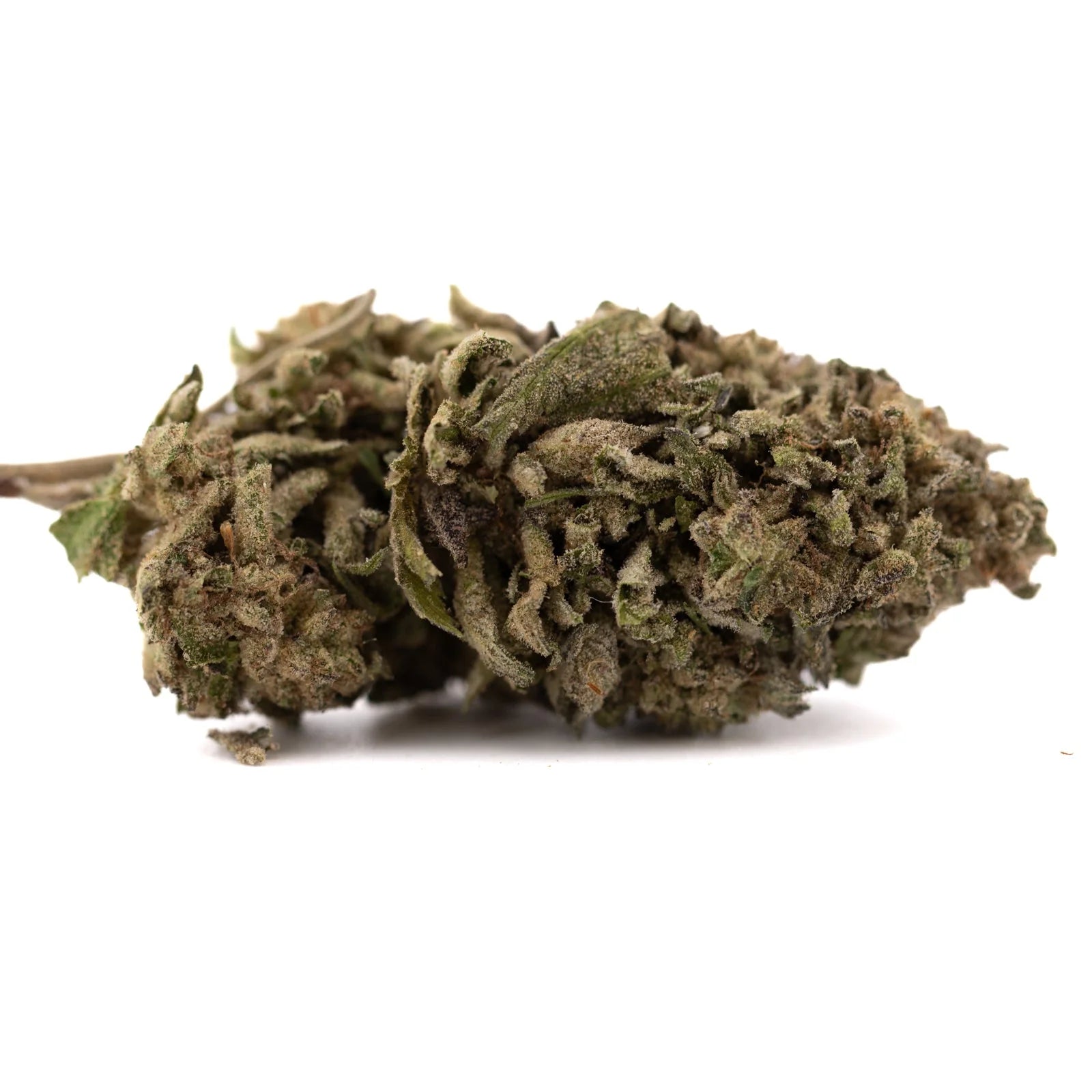 Halle Berry THCa hemp flower bud with green leaves and white trichomes