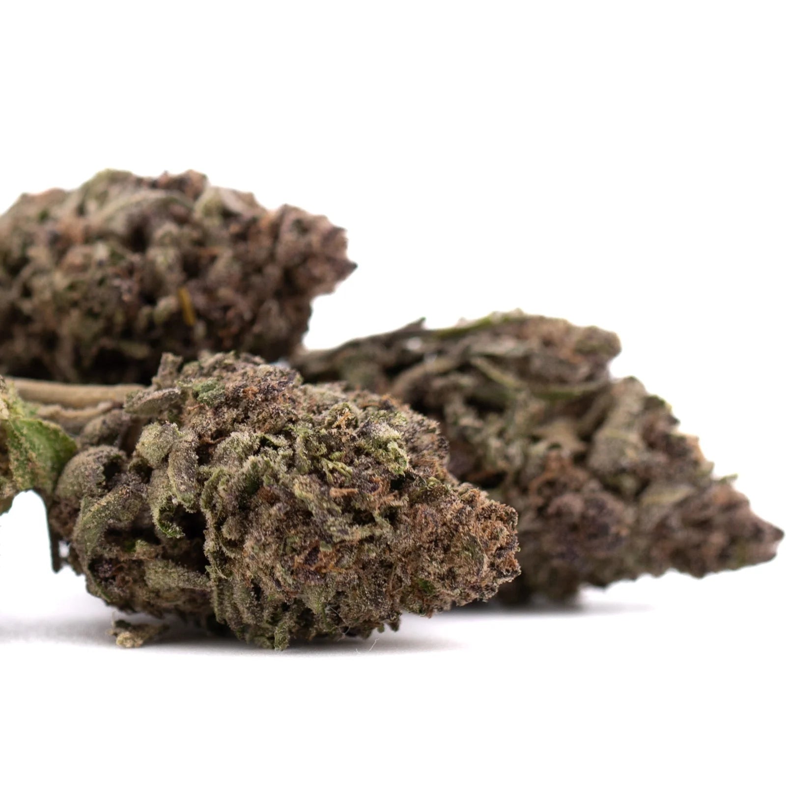 Premium Halle Berry THCa hemp flower: dark green bud with trichomes