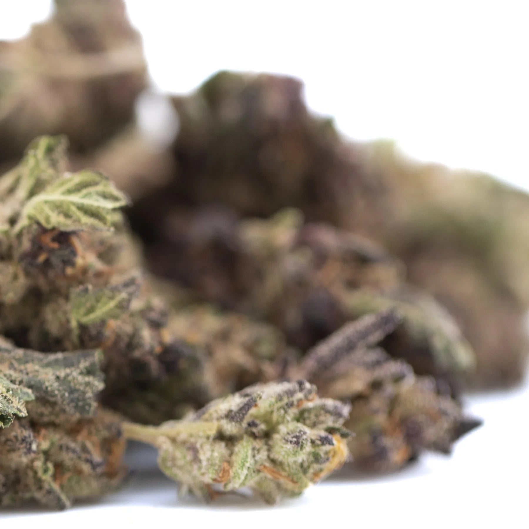 A cluster of halle berry thca greenhouse hemp flower smalls with green brown and orange dried buds