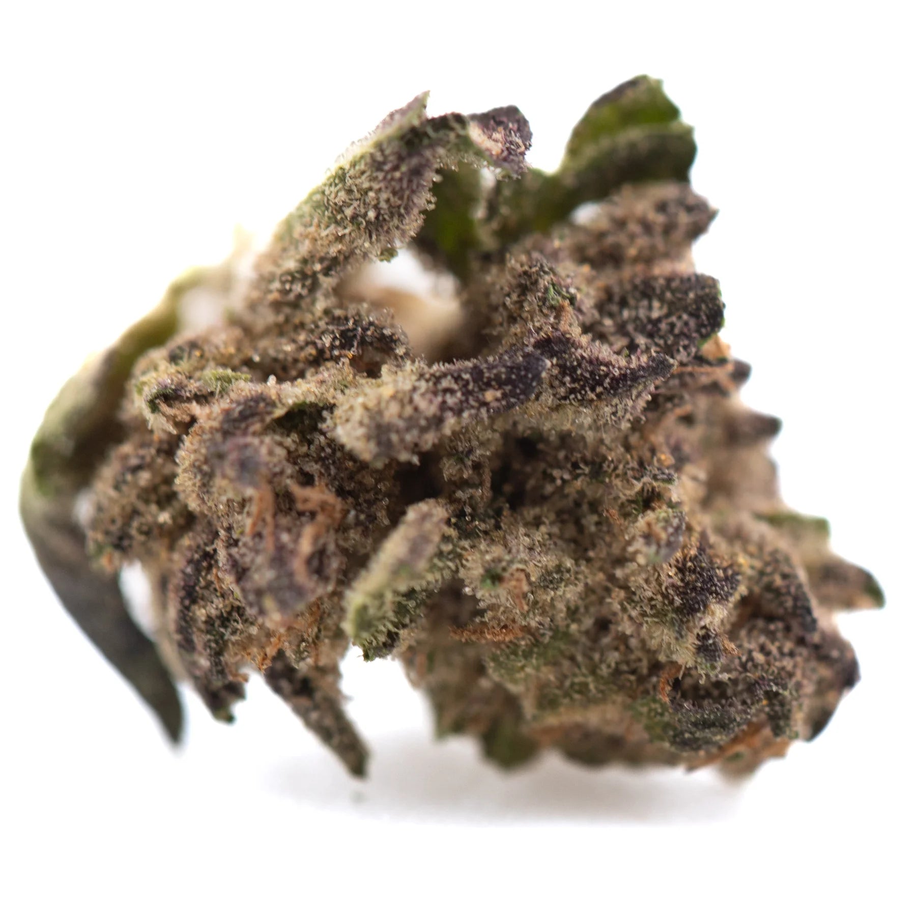 A dense halle berrys thca greenhouse hemp flower bud with green and dark purple hues covered in frosty trichomes