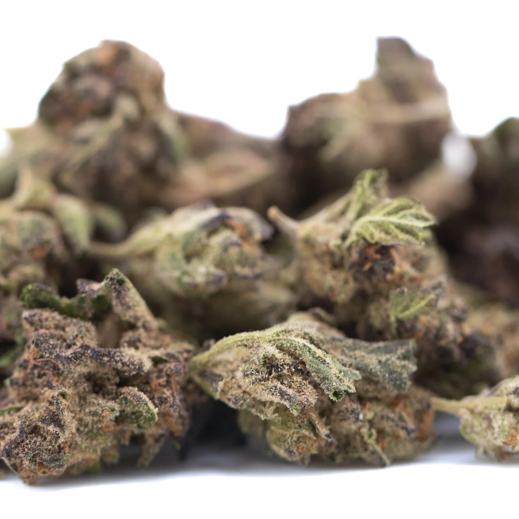 Mature halle berry thca greenhouse hemp flower buds with dense trichomes and greenish brown hues from greenhouse smalls