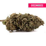 Halle Berry super sweet THCa hemp flower bud with dense trichomes