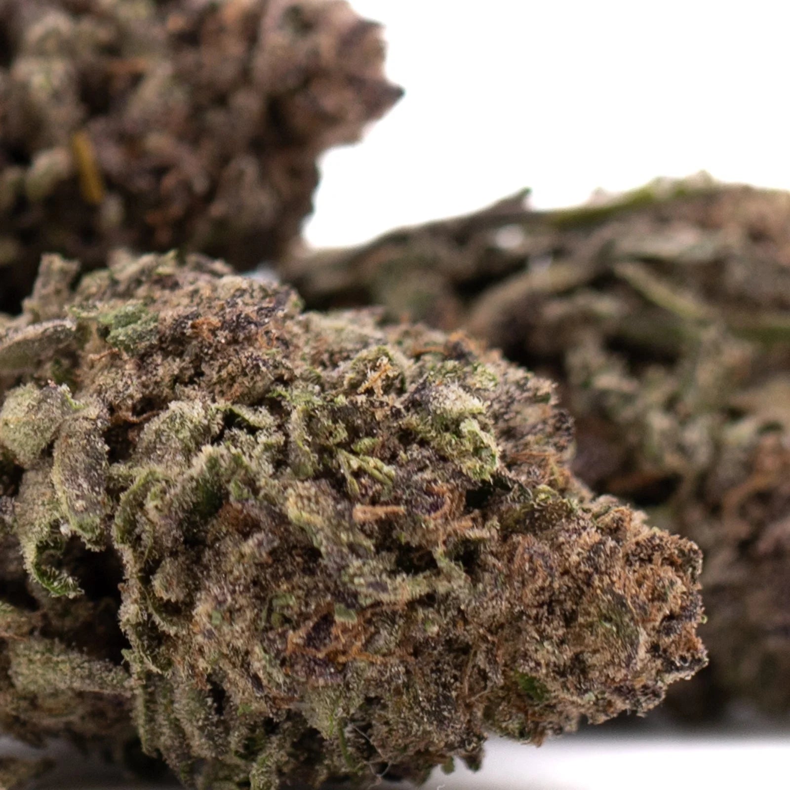 Premium Halle Berry THCa hemp flower bud with super sweet green purple hues