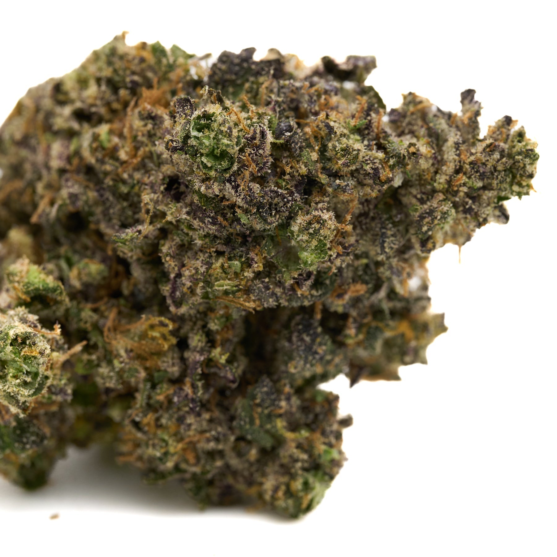 Dried cannabis bud with purple hues and orange pistils from Hash Burger Indoor THCa Flower Wholesale