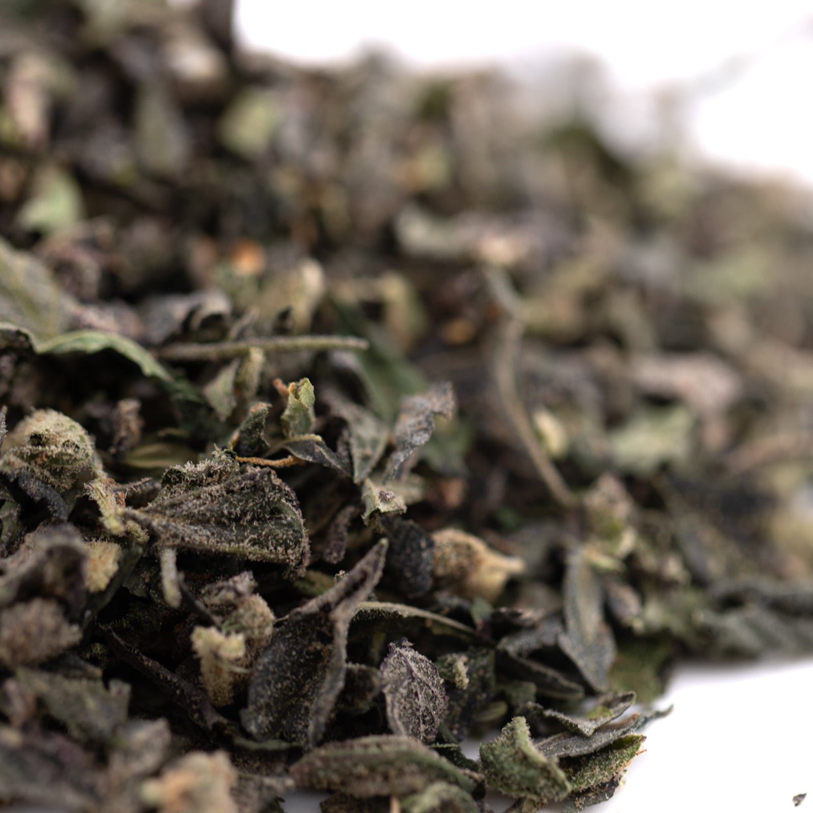 Close-up of loose dried green tea leaves for Solo Hash Plant indoor THCA trim wholesale