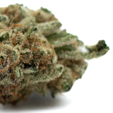 Close-up of dense trichome-rich Hash Man indoor THCa flower with orange pistils