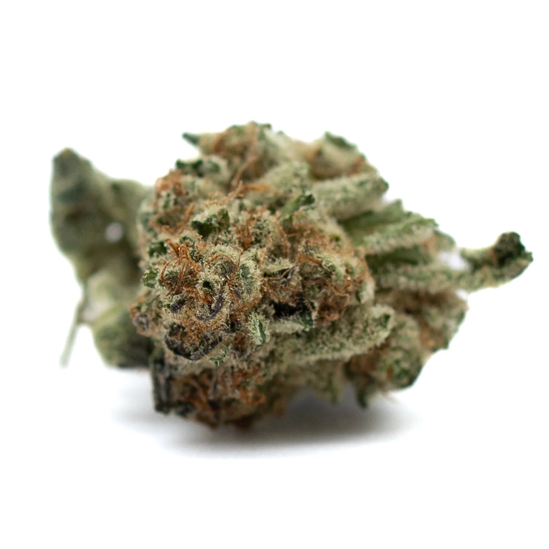 Dried cannabis bud with orange hairs and trichomes from Hash Man Indoor THCa Flower