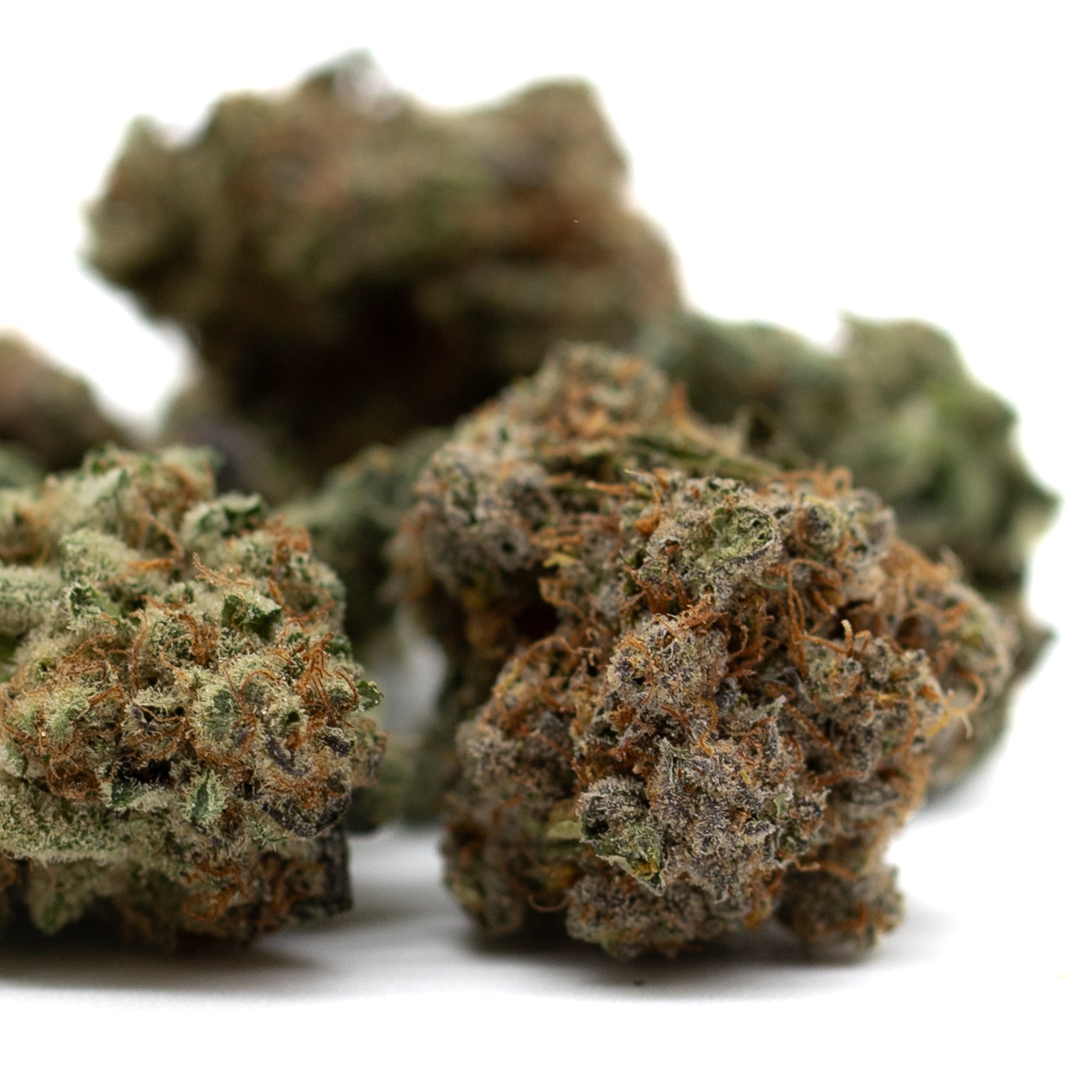 Dried cannabis buds with orange hairs and trichomes from Hash Man Indoor THCa Flower