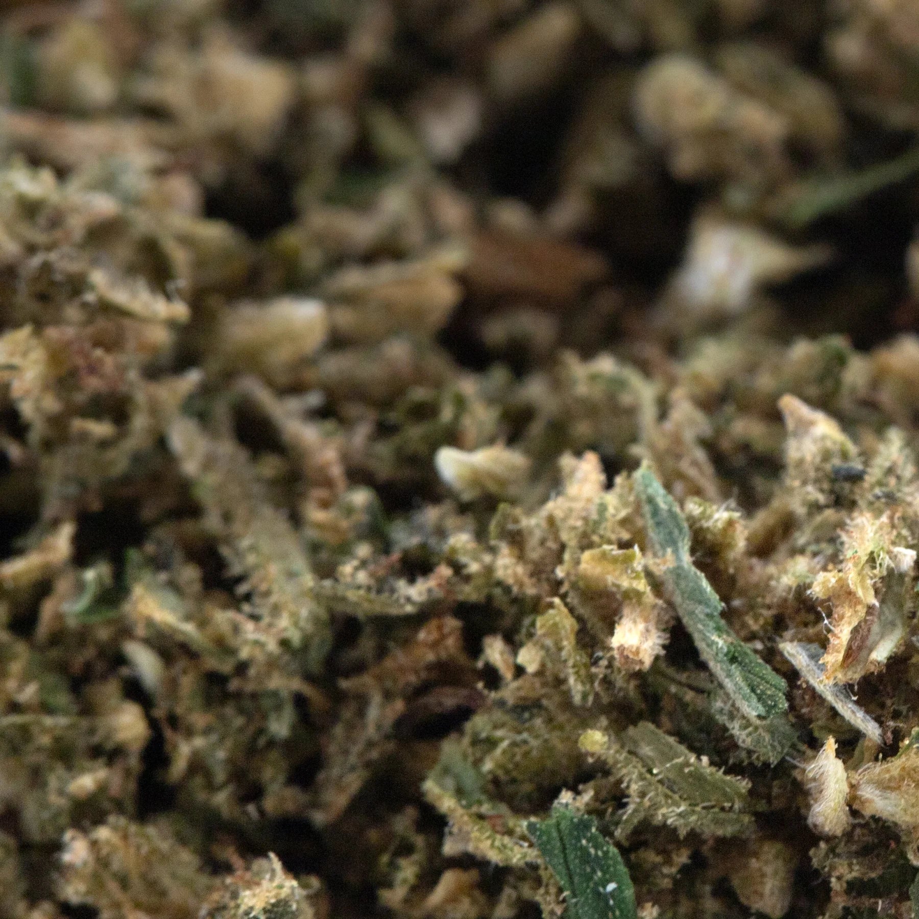 A close-up of hempress #2 cbd hemp flower full-term trim showcasing green brown and beige dried buds with cannabinoid potency
