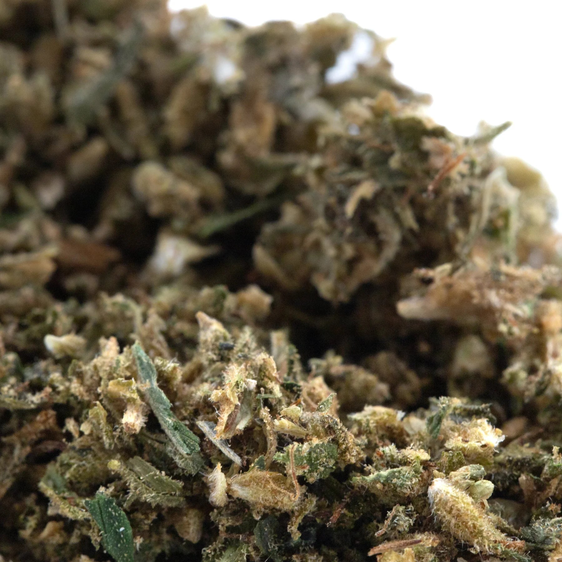Dense green and brown hempress cbd hemp flower bud with trichomes showing high cannabinoid potency for trim wholesale