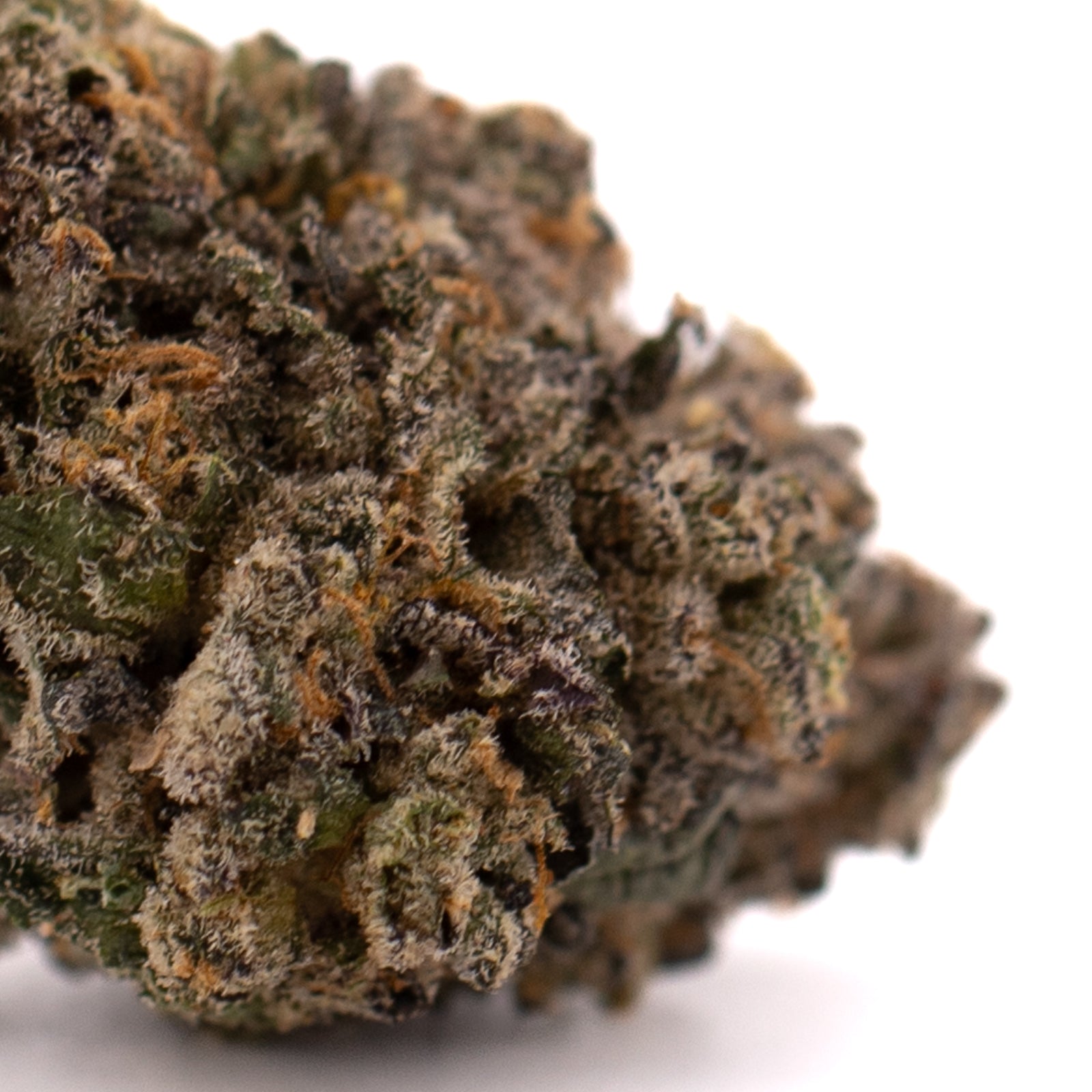 Dense frosty orchard swirl synergy THCa flower with purple and orange hues in Highlighter indoor product