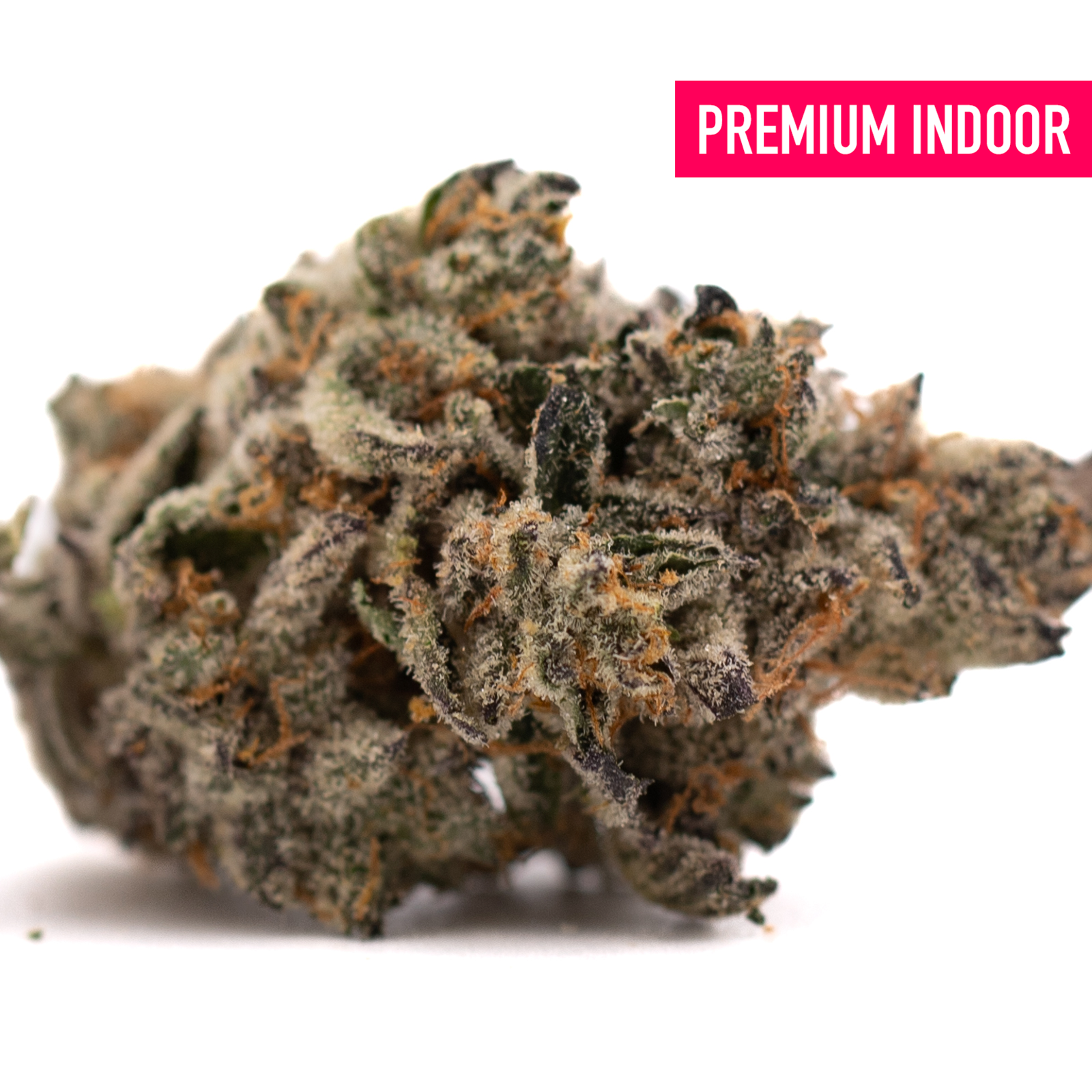 Hooch Indoor THCa Flower with dense trichome-covered purple cannabis bud and orange hairs