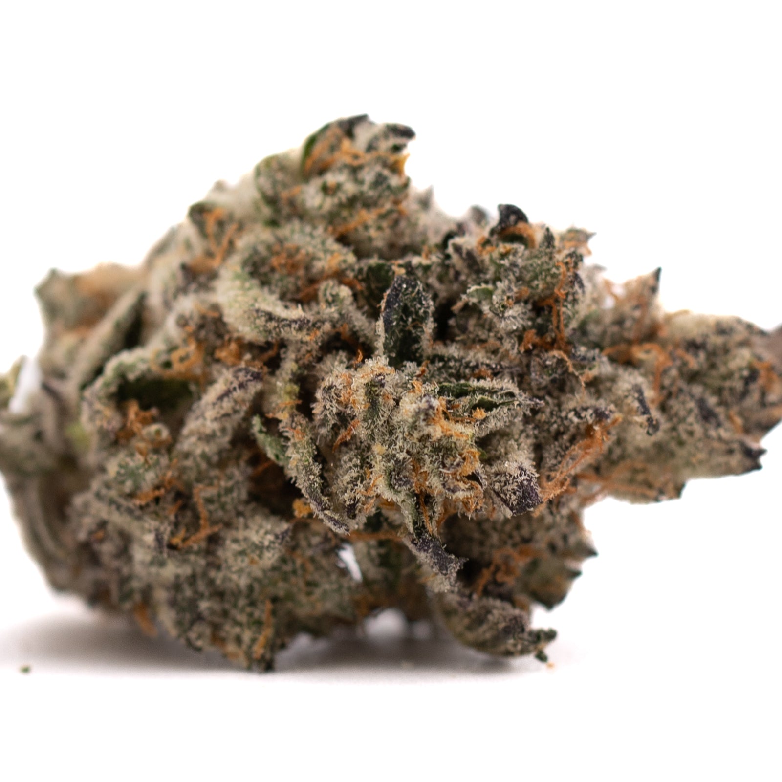 Dried Hooch Indoor THCa Flower with purple coloration and frosty trichomes