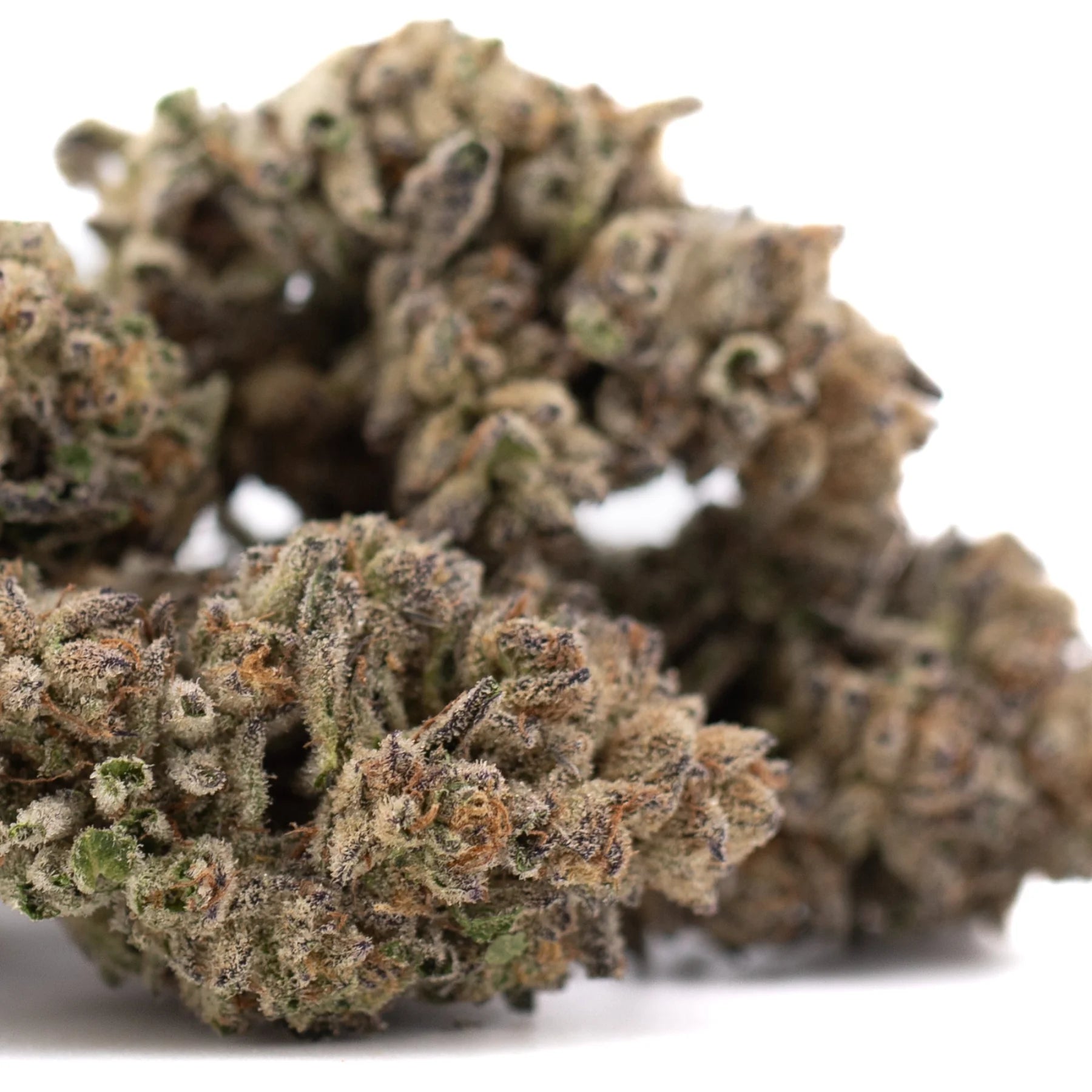A dense greenhouse thca hemp flower bud with green and brown hues covered in fine trichomes by street guru purple city genetics