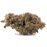 A dense textured greenhouse thca hemp flower bud with green brown hues and white trichomes from street guru purple city genetics