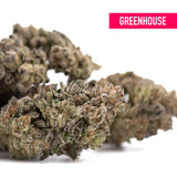 Mature hooch thca hemp flower with dense frosty trichomes and purple city genetics for cosmic visual appeal and indica innovation