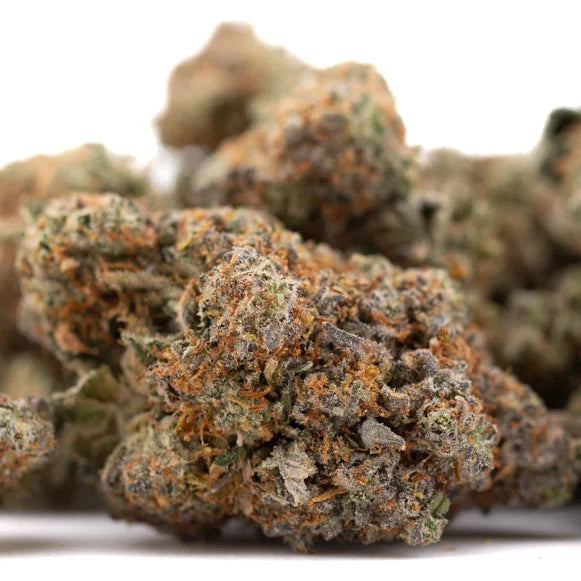 Close-up of Huckleberry Diesel THCa Flower with orange hairs and trichomes for sleep support
