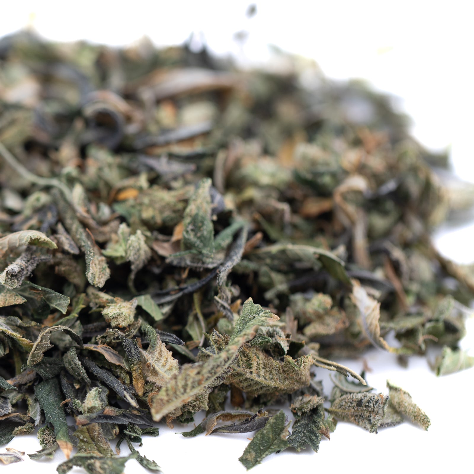 Huckleberry Diesel THCa trim with green dried mint leaves assortment