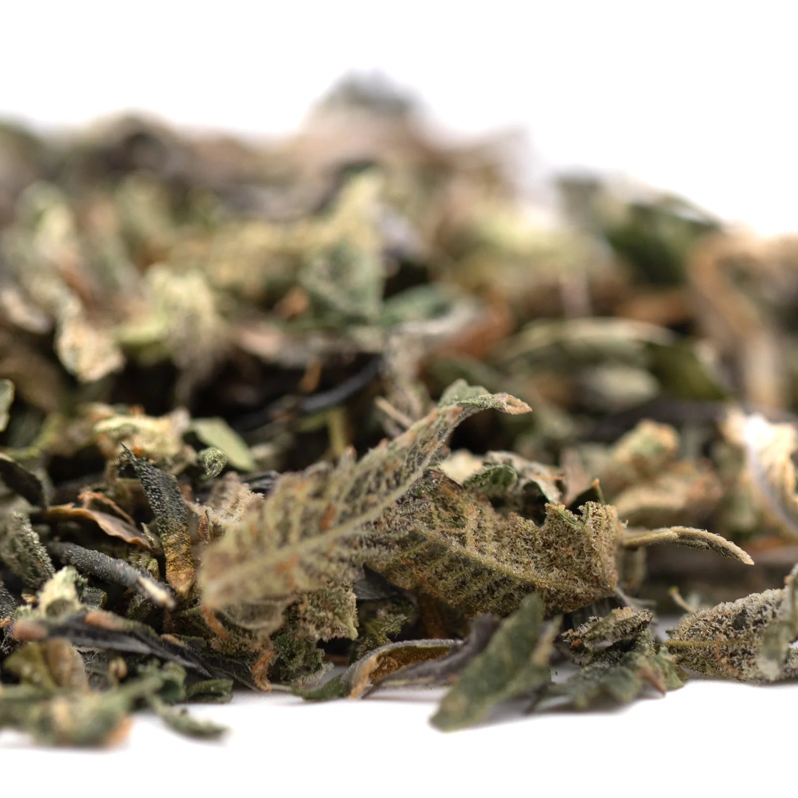 Huckleberry Diesel THCa trim: dried green tea leaves with white tips