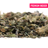 Premium Huckleberry Diesel THCa Trim indoor dried herb blend in green and brown hues