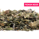 Premium Huckleberry Diesel THCa Trim indoor dried herb blend in green and brown hues
