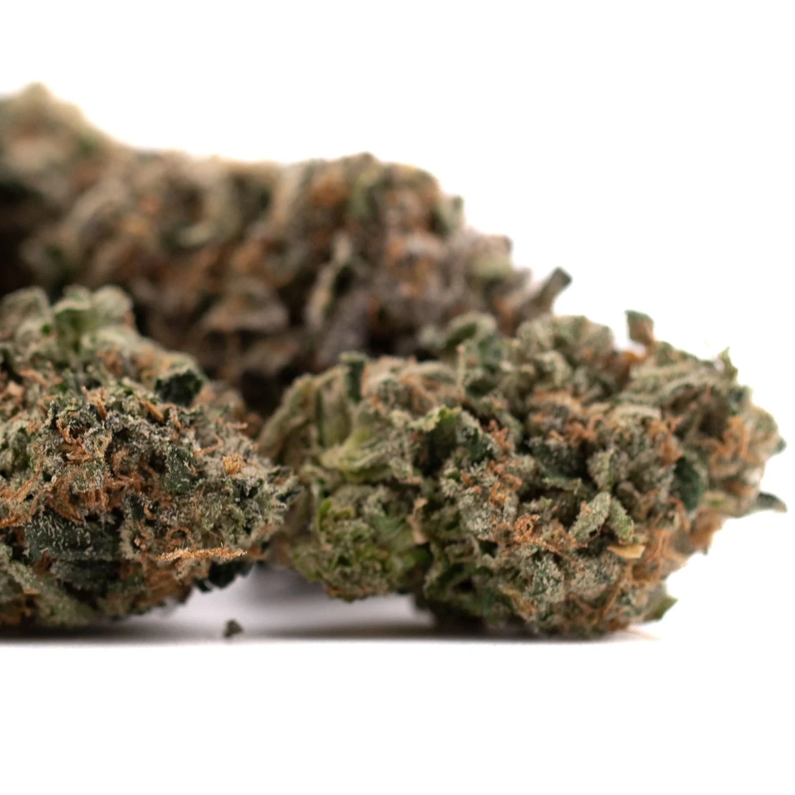 Humboldt Indoor THCa Flower with high THCa content and visible trichomes and orange hairs
