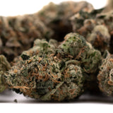 Close-up of vibrant green and orange Humboldt Indoor THCa Flower with high THCa content