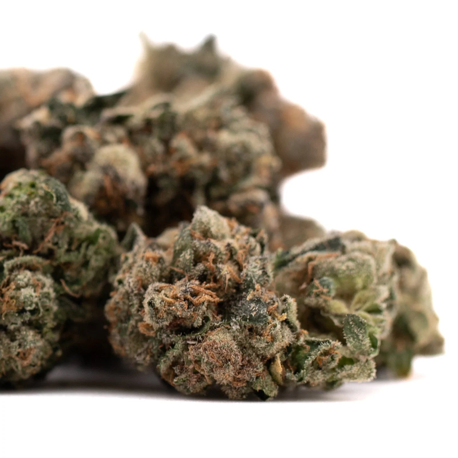 Humboldt Indoor THCa Flower with high THCa content and aromatic orange hairs
