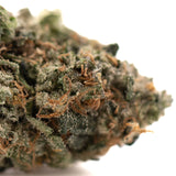 Humboldt Indoor THCa Flower with trichome-rich cannabis bud and vibrant orange pistils