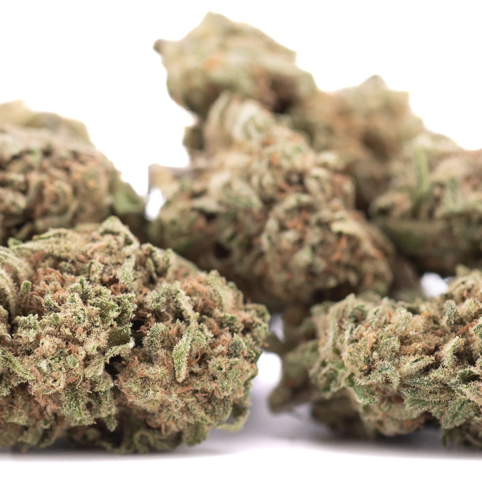 Green and brown humboldt dream thca hemp flower buds with frosty textured surface from humboldt county greenhouse