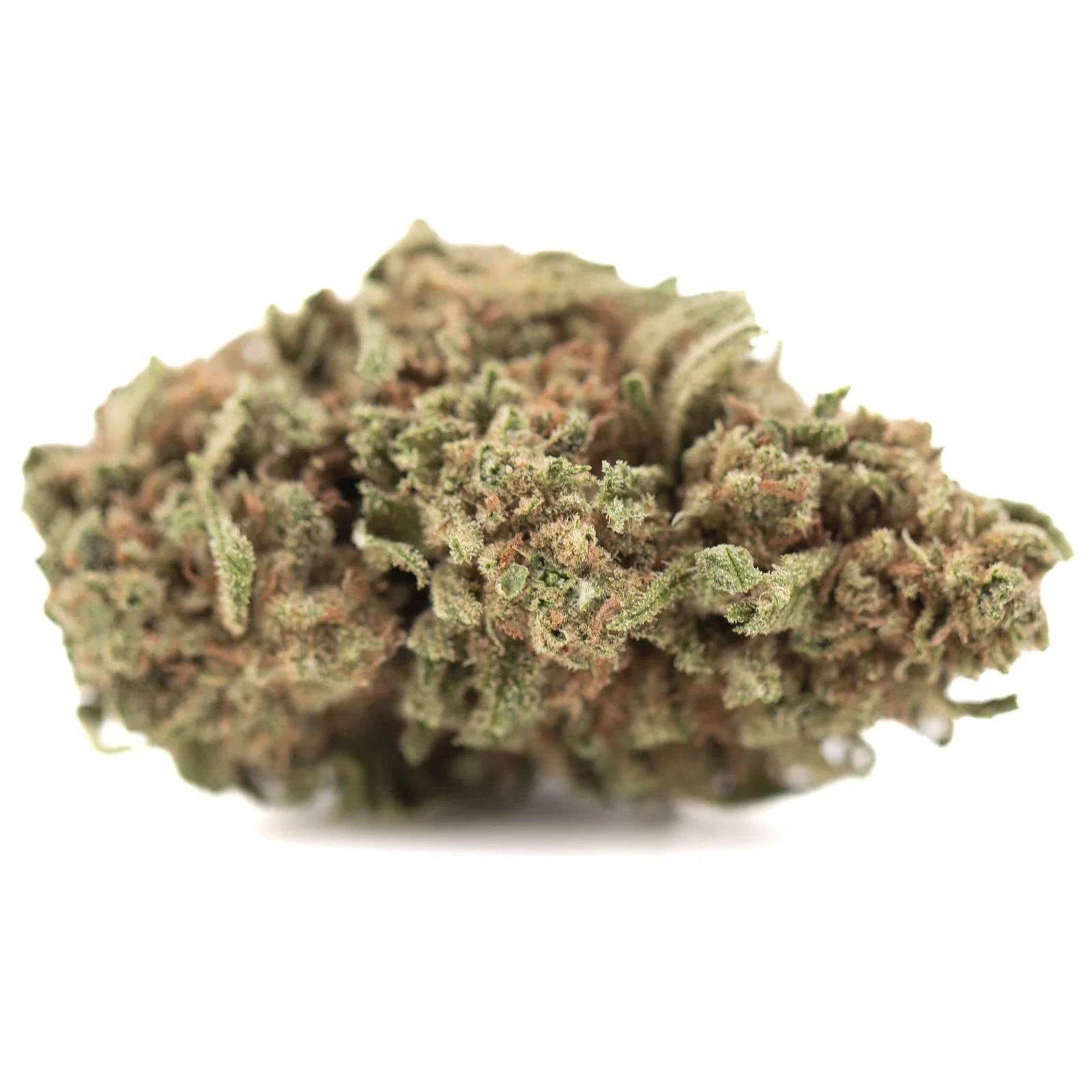 A dense green and brown humboldt dream thca hemp flower covered in super sticky trichomes from humboldt county