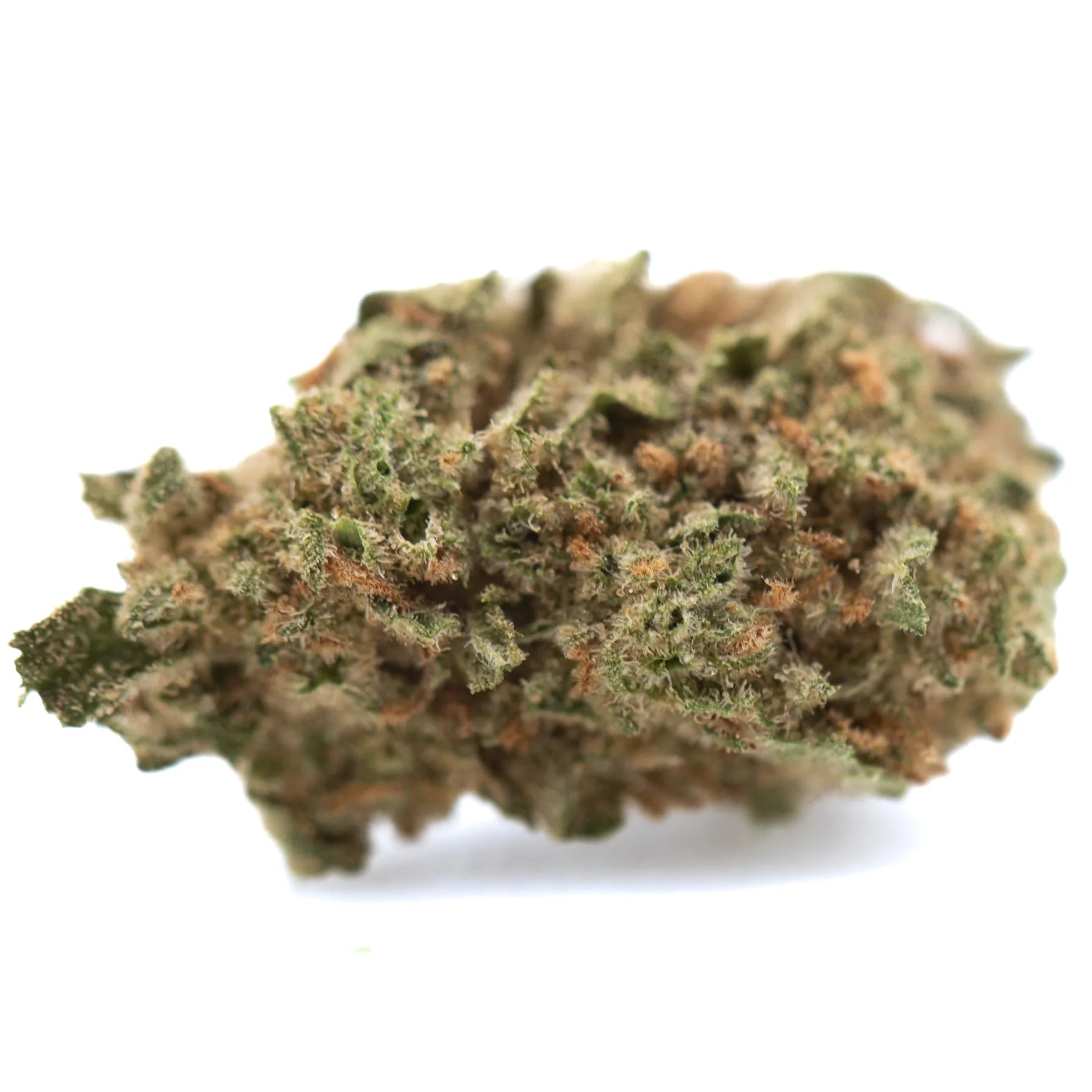 A dense humboldt dream thca flower bud with green and orange hues in greenhouse smalls cannabis hemp flower