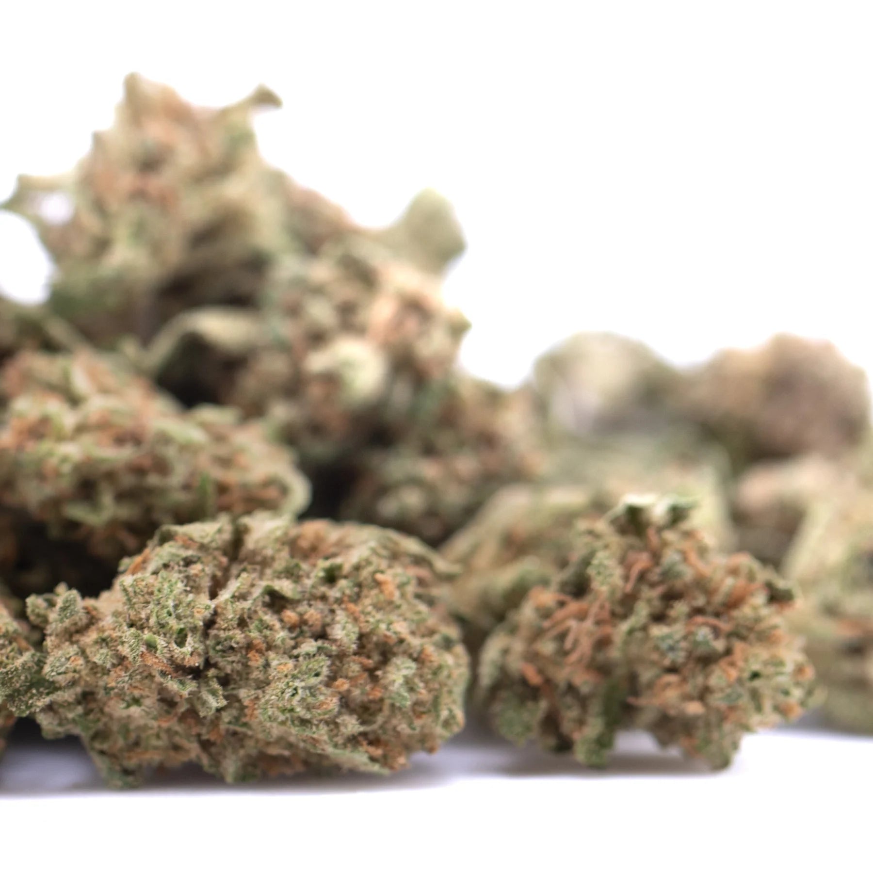 Green and orange-hued humboldt dream thca flower with dense frosty texture in greenhouse smalls hemp buds