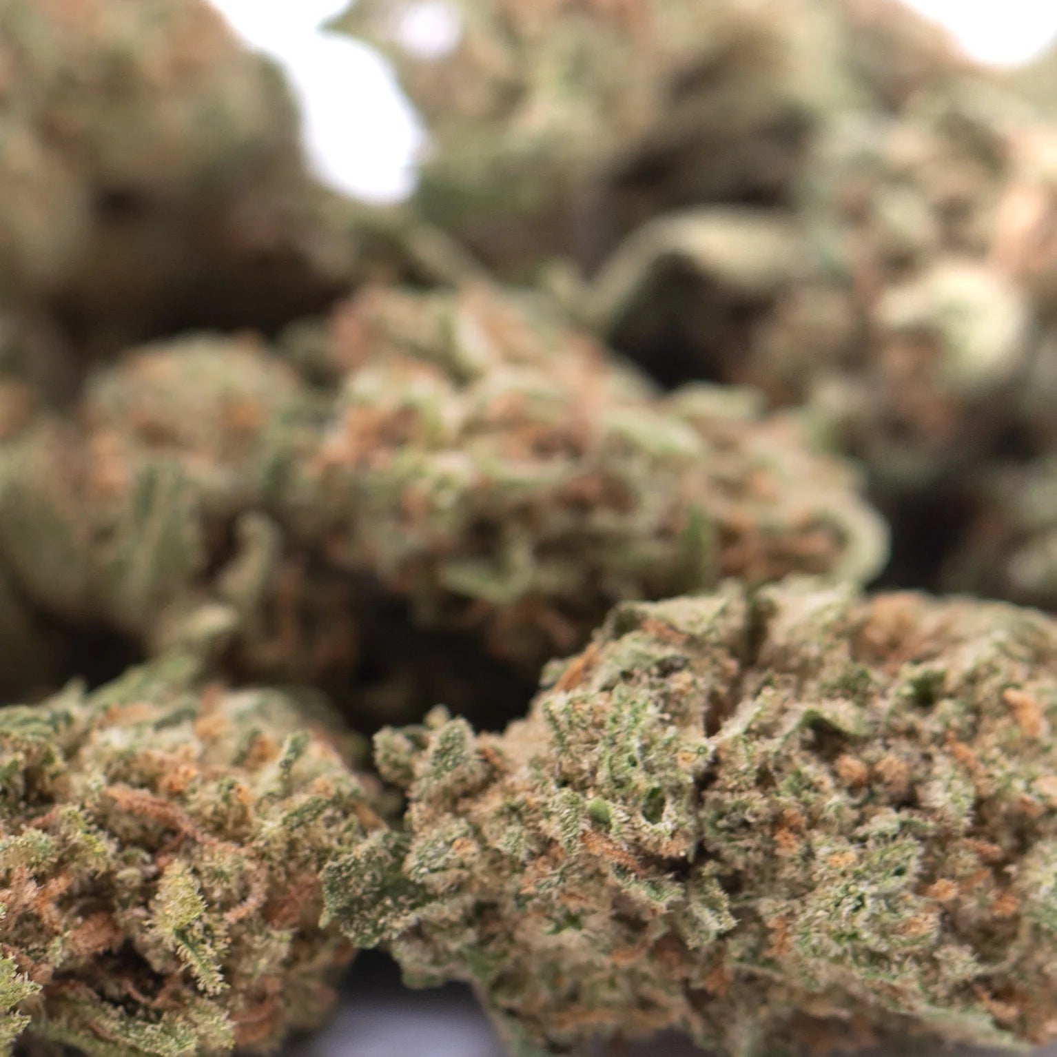 Lush dense humboldt dream thca flower hemp buds with green and orange hues from greenhouse smalls collection