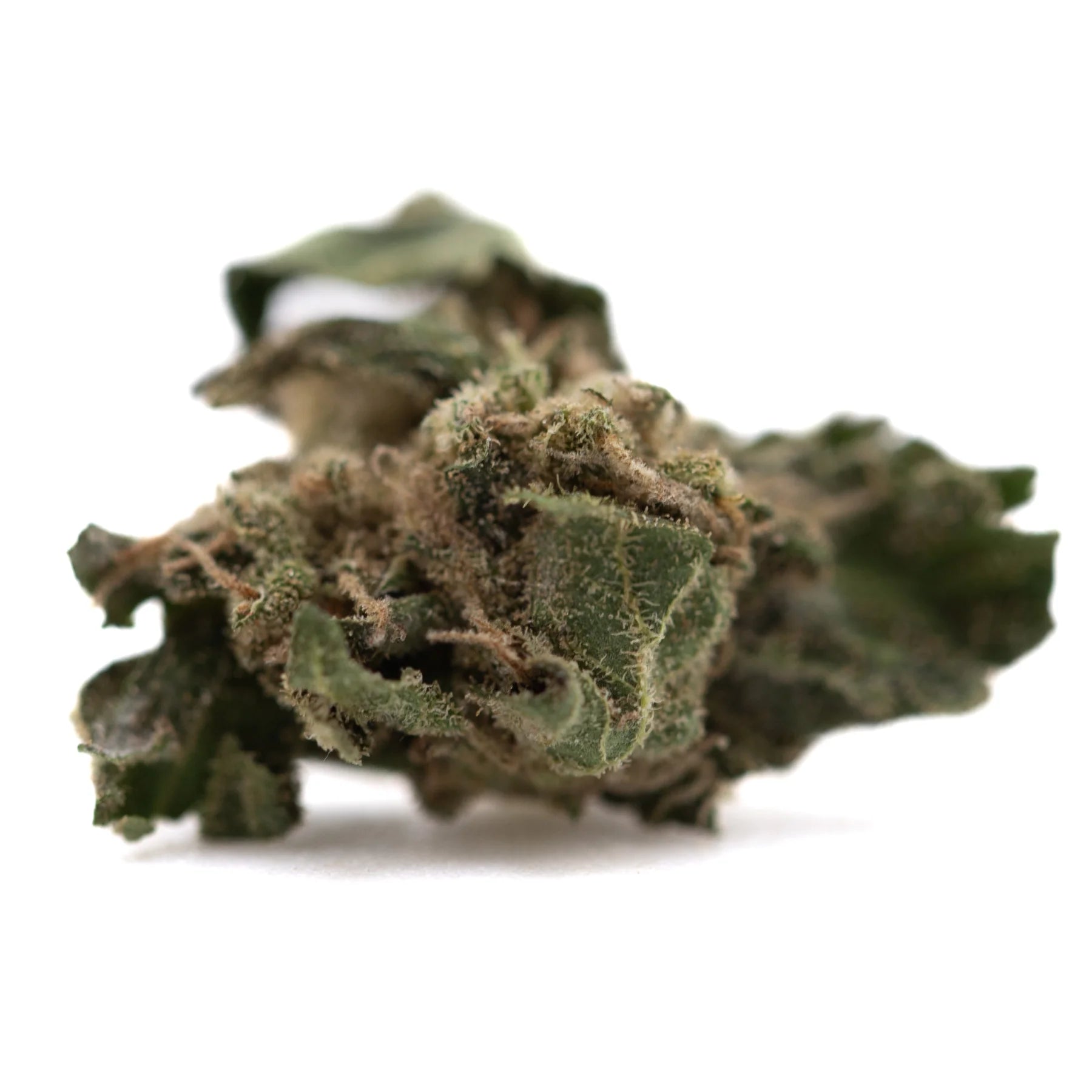A dense green ice cream full-term thca flower bud covered in fine trichomes with subtle brown hints