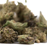A pile of ice cream full-term thca flower hemp flower buds with dense trichomes and greenish purple hues