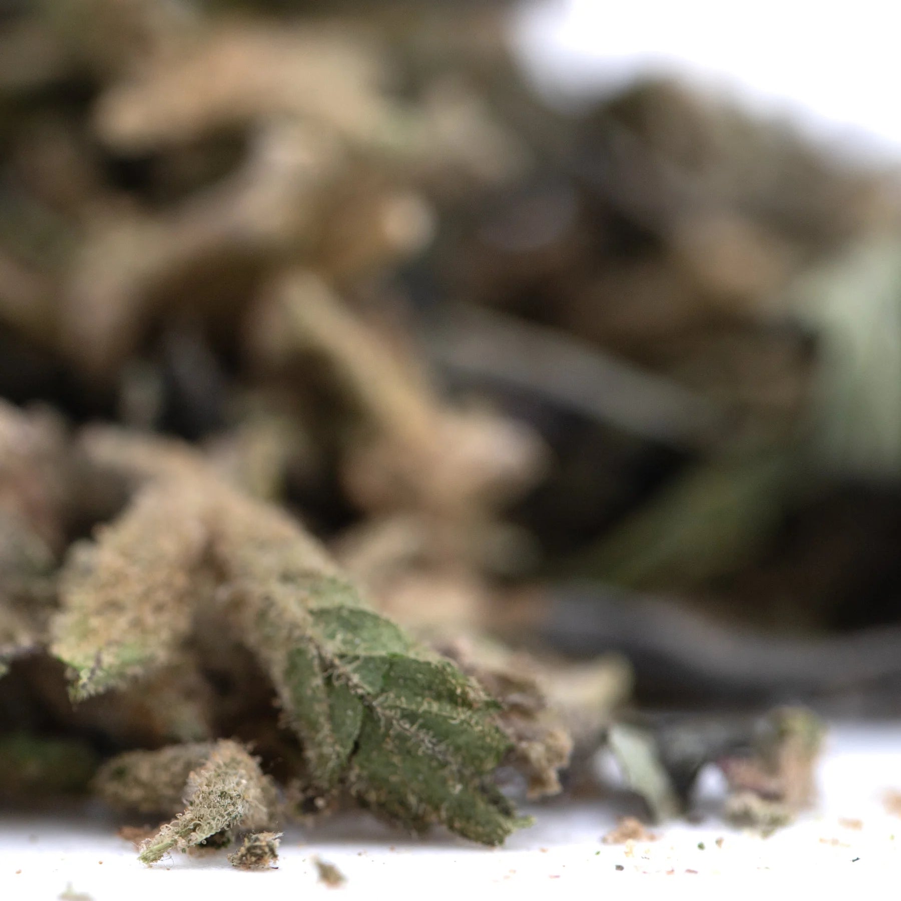 Dried ice cream full-term thca flower buds with green leaves and brown trichomes highlighting terpene profile from indoor cultivation